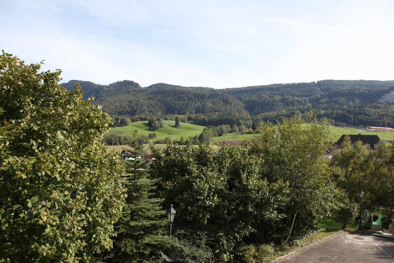 Hotel Gasthof Kreuz Welschenrohr Εξωτερικό φωτογραφία